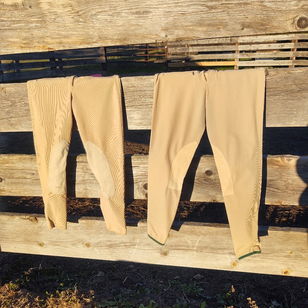 Equistar Riding Breeches